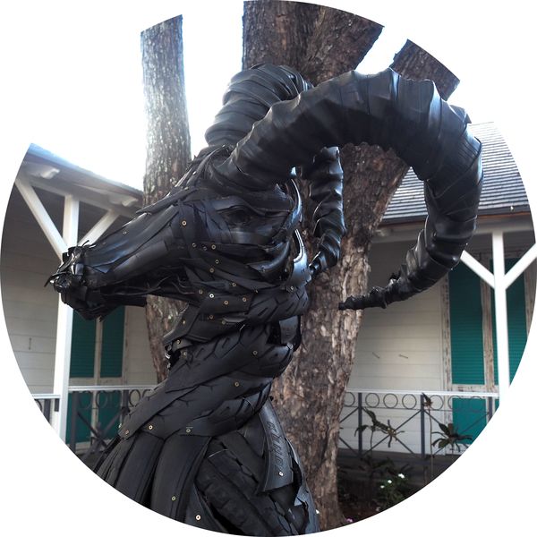 ibex in motorcycle tires, Port Mathurin, Rodrigues • Mauritius